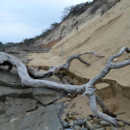 מלון Sunrise-on-Sea Driftwood Treehouse מראה חיצוני תמונה