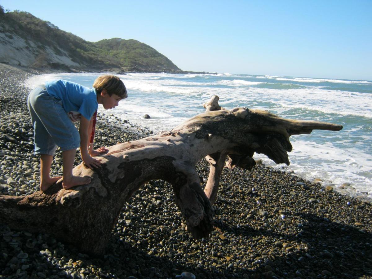 מלון Sunrise-on-Sea Driftwood Treehouse מראה חיצוני תמונה