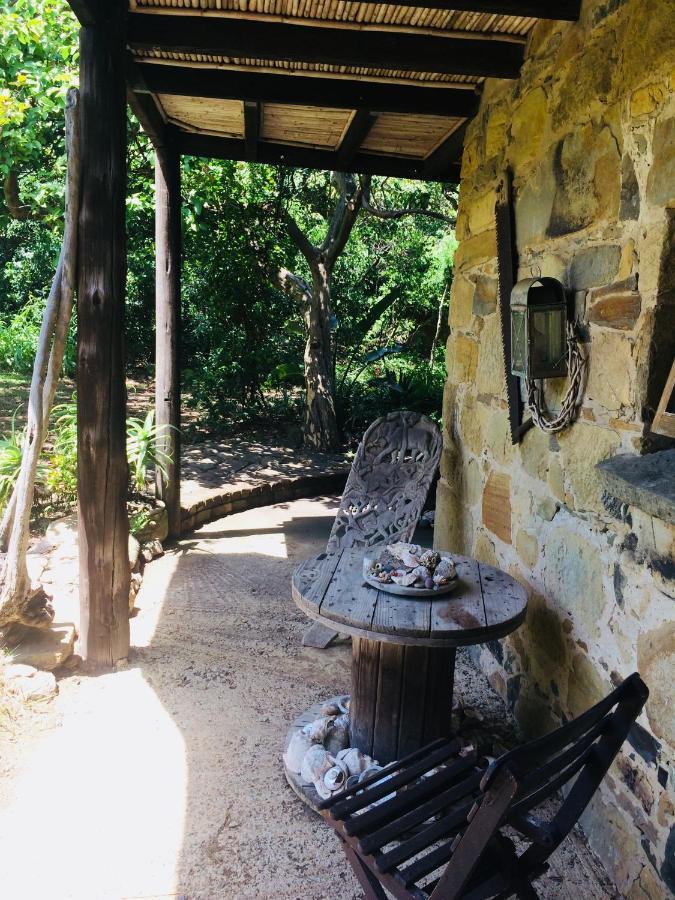 מלון Sunrise-on-Sea Driftwood Treehouse מראה חיצוני תמונה